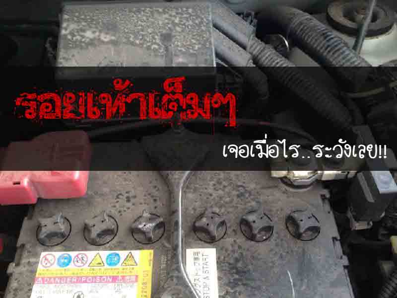 หนูกัดสายไฟรถ_รีวิว_1