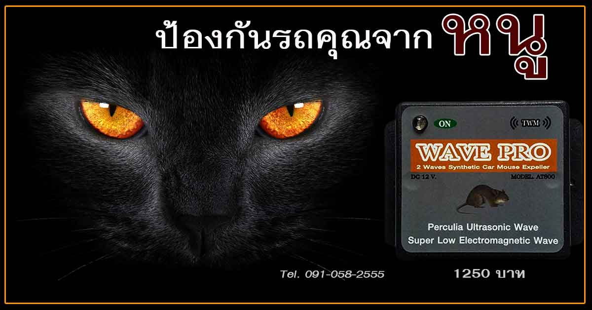 วิธีติดตั้ง เครื่องไล่หนู Wave pro