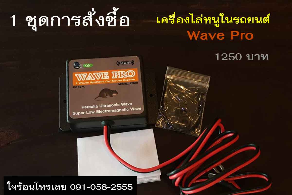 วิธีติดตั้ง Wave pro