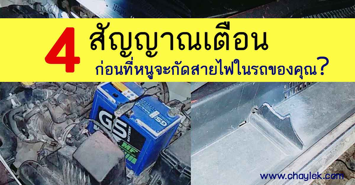 4 สัญญาณหนูกัดสายไฟในรถ