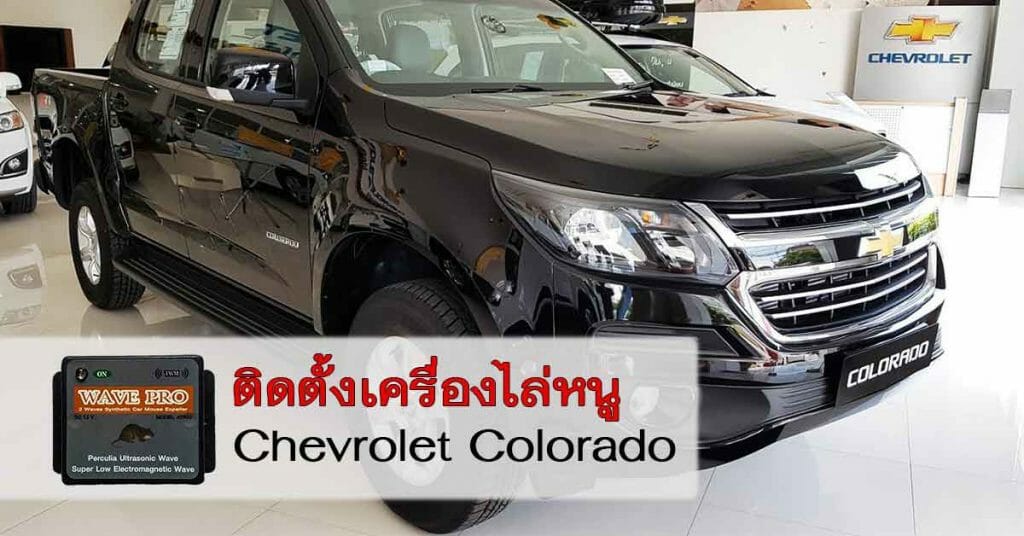 ติดตั้งเครื่องไล่หนูในรถ_เชปโลเลด-_Chevrolet-Colorado