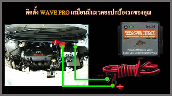 เครื่องไล่หนูในรถ ราคา