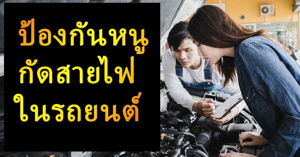 ป้องกันหนูกัดสายไฟในรถยนต์