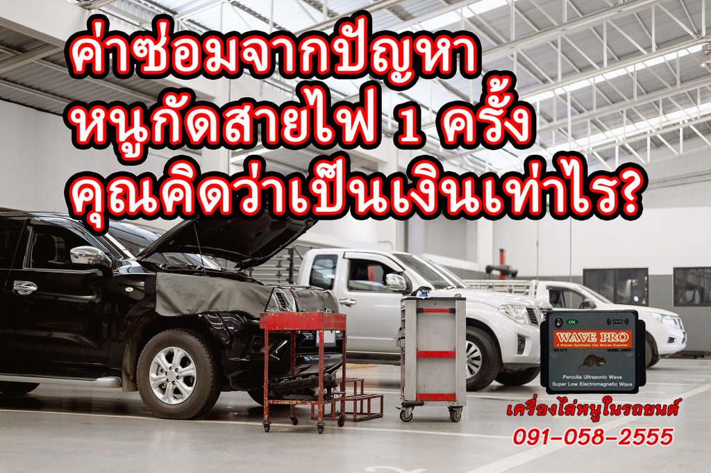 ป้องกันหนูกัดสายไฟในรถ