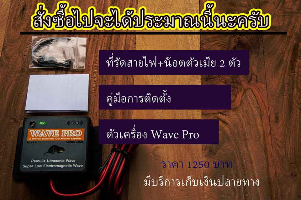 อุปกรณ์ไล่หนูในรถยนต์-Wave-Pro