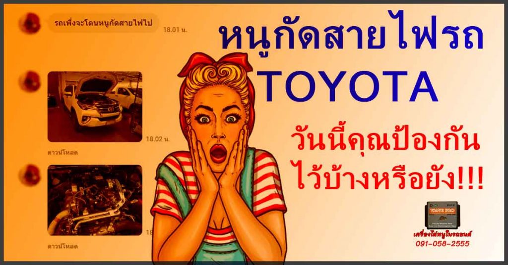 หนูกัดสายไฟรถ TOYOTA