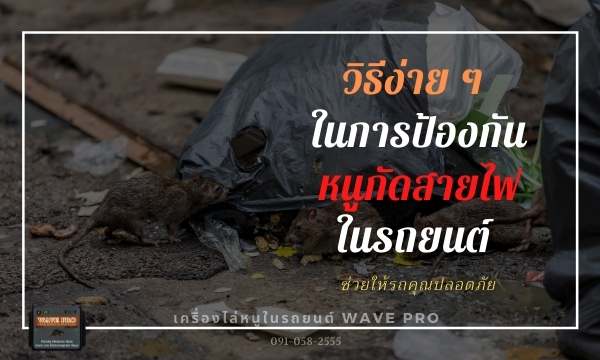 การป้องกันหนูกัดสายไฟในรถยนต์