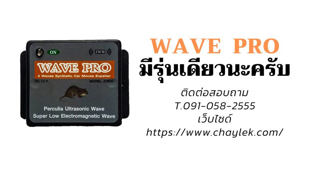 เครื่องไล่หนูในห้องเครื่องยนต์ Wave Pro มีรุ่นเดียวนะครับ